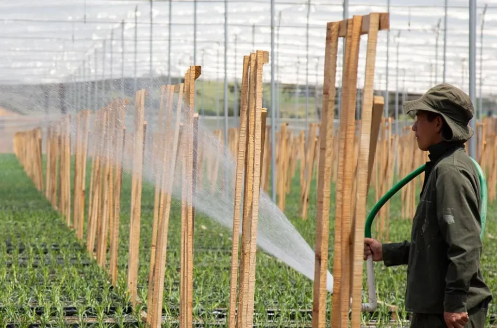 Formación Técnica en Riego y Drenaje de Cultivos Agrícolas 1 Formación Técnica en Riego y Drenaje de Cultivos Agrícolas 1