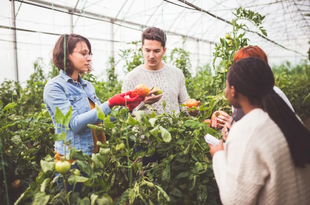 INICIO - SenaSofía Inscripciones 2