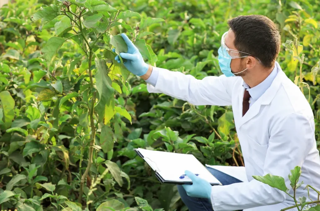 Formación Tecnológica en Agrobiotecnología 10