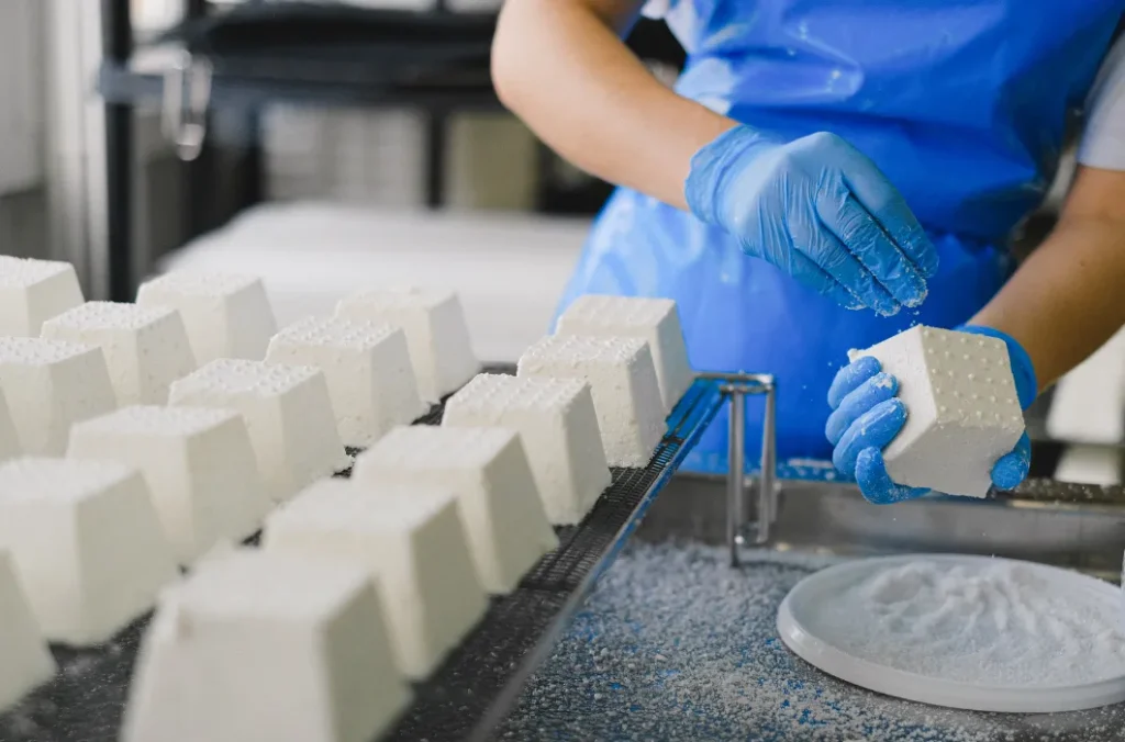 Formación Técnica en Procesamiento de Derivados Lácteos 4