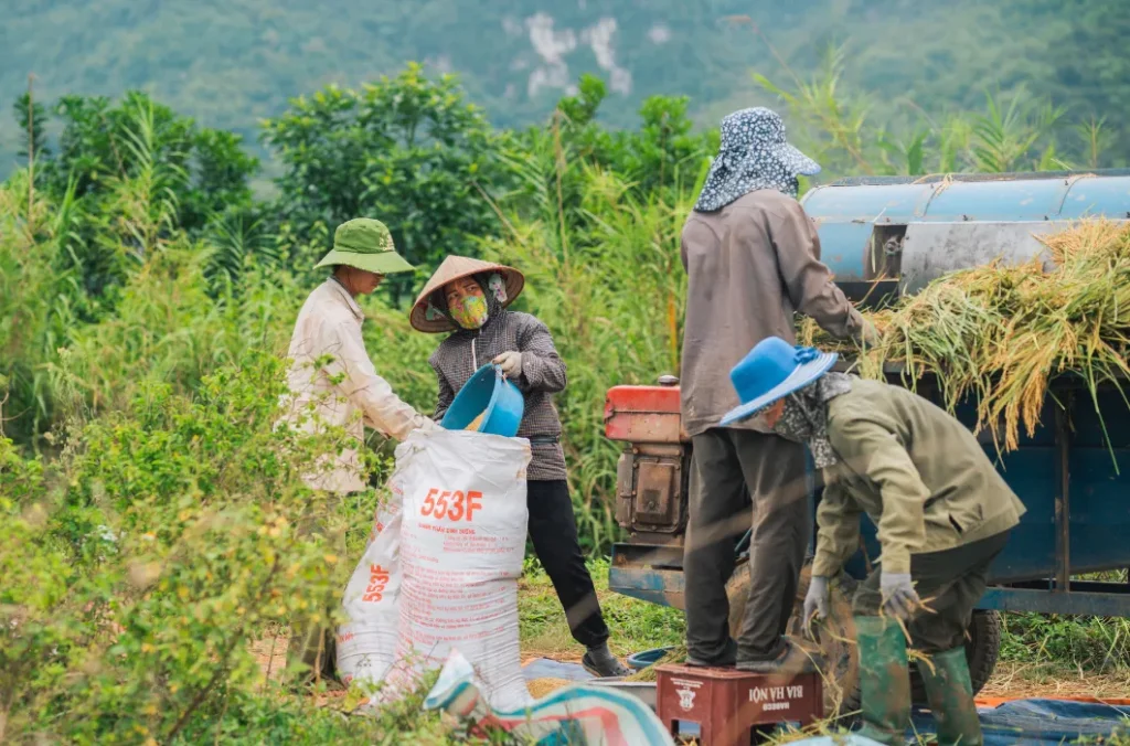 Formación Técnica en Agroindustria Alimentaria 1