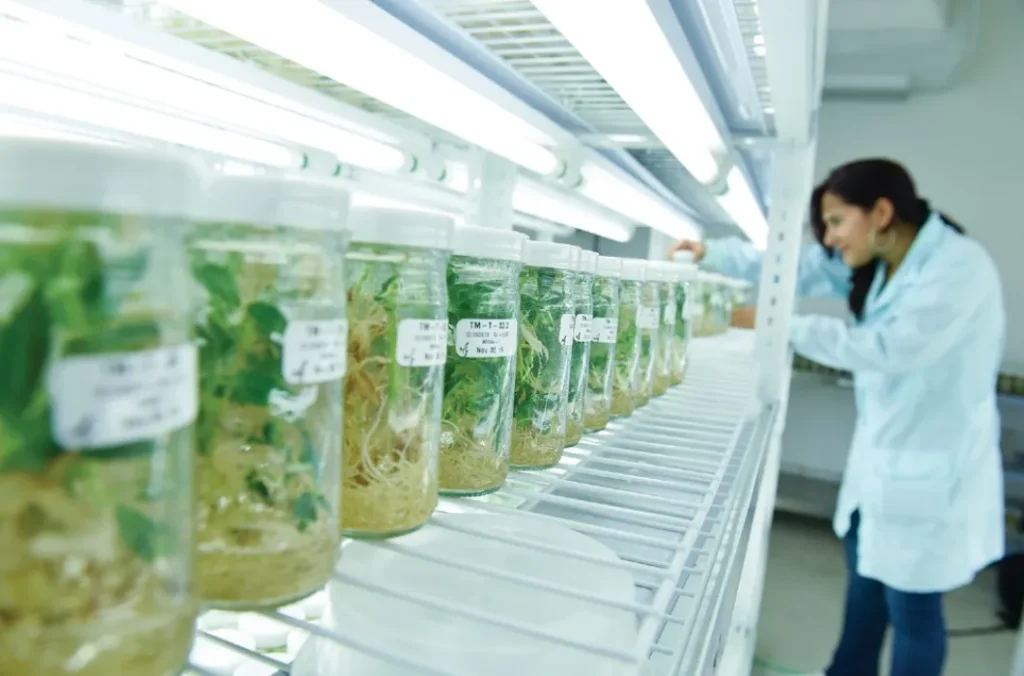 Formación Técnica en Agrotrónica 7